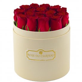 Edition Spéciale Brzoskwiniowy Box z Czerwonymi Różami Żywymi