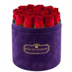 Edition Spéciale Fioletowy Flokowany Box z Czerwonymi Różami Żywymi