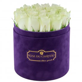 Edition Spéciale Fioletowy Flokowany Box z Białymi Różami Żywymi
