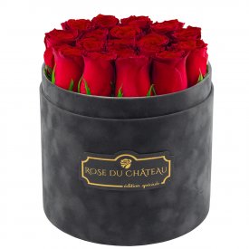 Edition Spéciale Antracytowy Flokowany Box z Czerwonymi Różami Żywymi