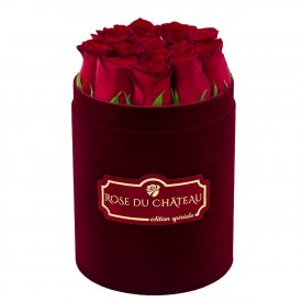 Edition Spéciale Mały Flokowany Box z Czerwonymi Różami Żywymi