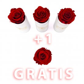 Oferta 3 Czerwone Wieczne Róże + 1 gratis