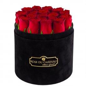 Édition Spéciale Czarny Flokowany Box z Czerwonymi Różami Żywymi
