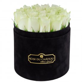 Édition Spéciale Czarny Flokowany Box z Białymi Różami Żywymi