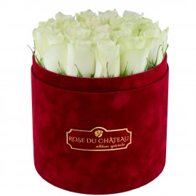 Édition Spéciale Bordowy Flokowany Box z Białymi Różami Żywymi