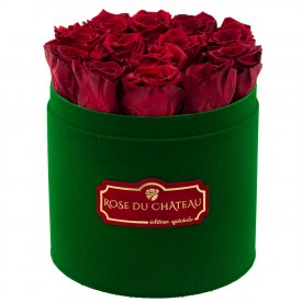 Rose eterne rosse in flowerbox floccato verde