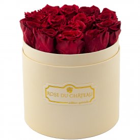 Rose eterne rosse in flowerbox pesca