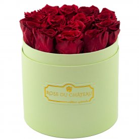 Rose eterne rosse in flowerbox menta