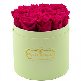 Rose eterne rosa in flowerbox menta