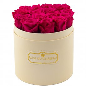 Rose eterne rosa in flowerbox pesca