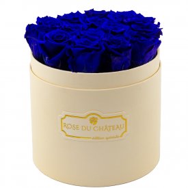 Rose eterne blu in flowerbox pesca