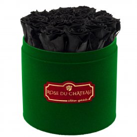 Rose eterne nere in flowerbox floccato verde