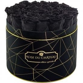 Rose eterne nere in flowerbox industriale nero grande