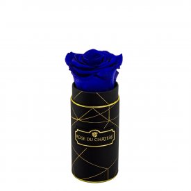 Rosa eterna blu in flowerbox industriale nero mini