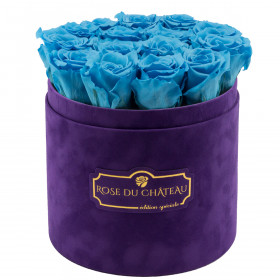 Rose eterne azzure in flowerbox floccato viola
