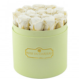 Rose eterne bianche in flowerbox menta
