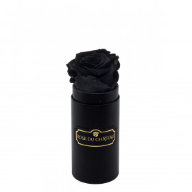 Rose eterna nero in flowerbox nero mini