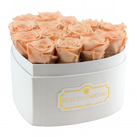 Rose eterne crema in box cuore bianco