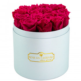 Rose eterne rosa in flowerbox azzurro