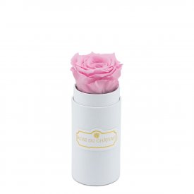 Blassrosa Ewige Rose in weißer Mini Rosenbox