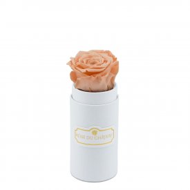 Teefarbene Ewige Rose In in weißer Mini Rosenbox