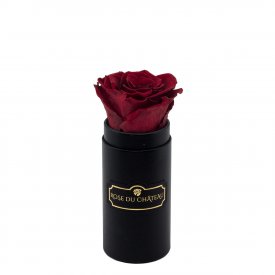 Rote Ewige Rose in schwarzer Mini Rosenbox