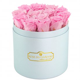 Roses Éternelles Roses Pâles Dans Une Flowerbox Bleue