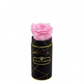 Rose Éternelle Rose Pâle Dans Une Mini Flowerbox Noir Industriel