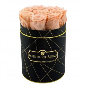 Roses Éternelles Herbées Dans Une Petite Flowerbox Noir Industriel