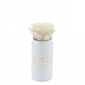 Rose Éternelle Blanche Dans Une Mini Flowerbox Blanche