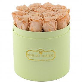 Čajové věčné růže v mátovém flowerboxu