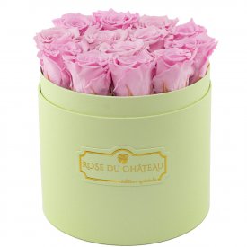 Světle růžové věčné růže v mátovém flowerboxu