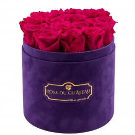 Růžové věčné růže ve fialovém semišovém flowerboxu