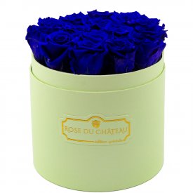 Tmavě modré věčné růže v mátovém flowerboxu