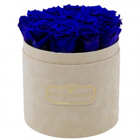 Tmavě modré věčné růže v béžovém semišovém flowerboxu