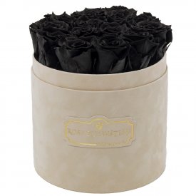 Černé věčné růže v béžovém semišovém flowerboxu