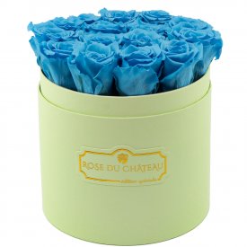 Modré věčné růže v mátovém flowerboxu