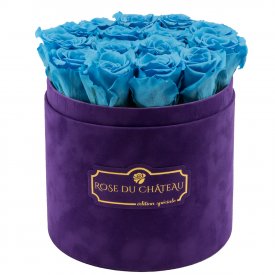 Modré věčné růže ve fialovém semišovém flowerboxu