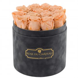 Čajové věčné růže v šedém semišovém flowerboxu