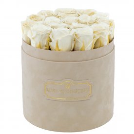 Bílé věčné růže v béžovém semišovém flowerboxu