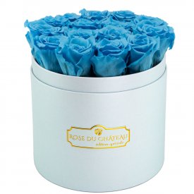 Modré věčné růže v modrém flowerboxu