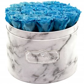 Modré věčné růže ve velkém bílém mramorovém flowerboxu