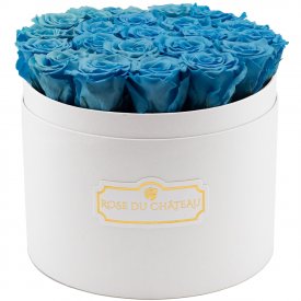 Modré věčné růže ve velkém bílém flowerboxu