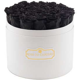 Černé věčné růže ve velkém bílém flowerboxu