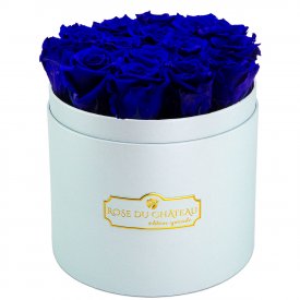Tmavě modré věčné růže v modrém flowerboxu