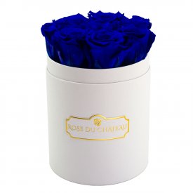 Tmavě modré věčné růže v malém bílém flowerboxu
