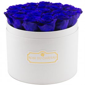 Tmavě modré věčné růže ve velkém bílém flowerboxuu