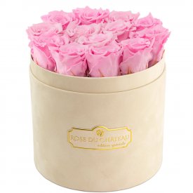 Světle růžové věčné růže v béžovém semišovém flowerboxu
