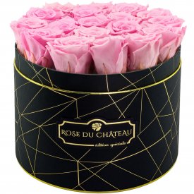 Světle růžové věčné růže ve velkém černém industrial flowerboxu