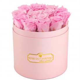 Světle růžové věčné růže v růžovém flowerboxu